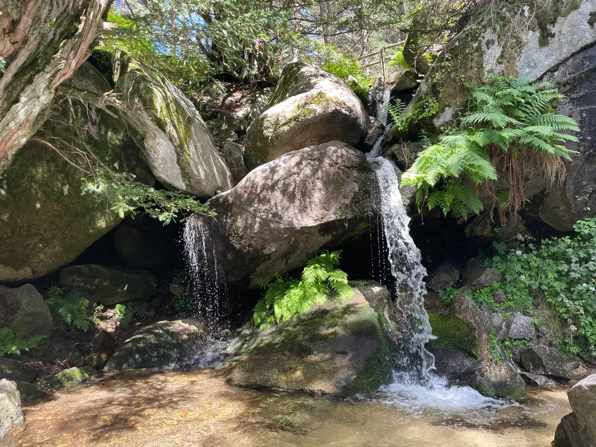 Ducha de los Alemanes entre rocas y helechos