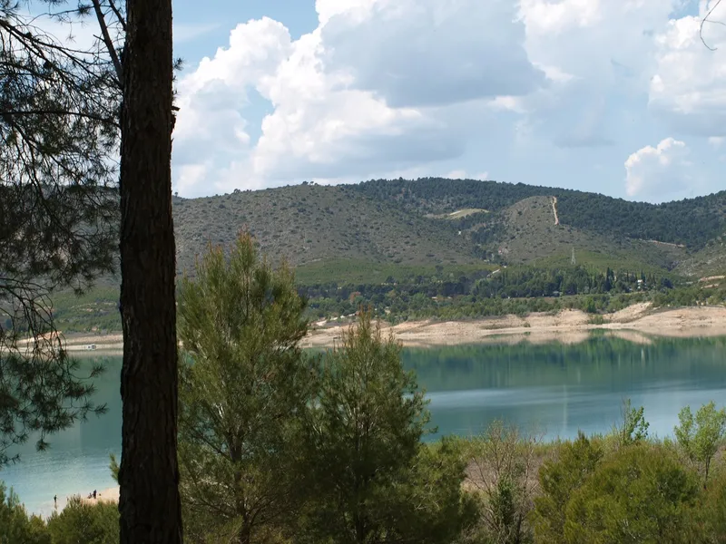 Embalse de Buendía visto entre los pinos junto al recorrido