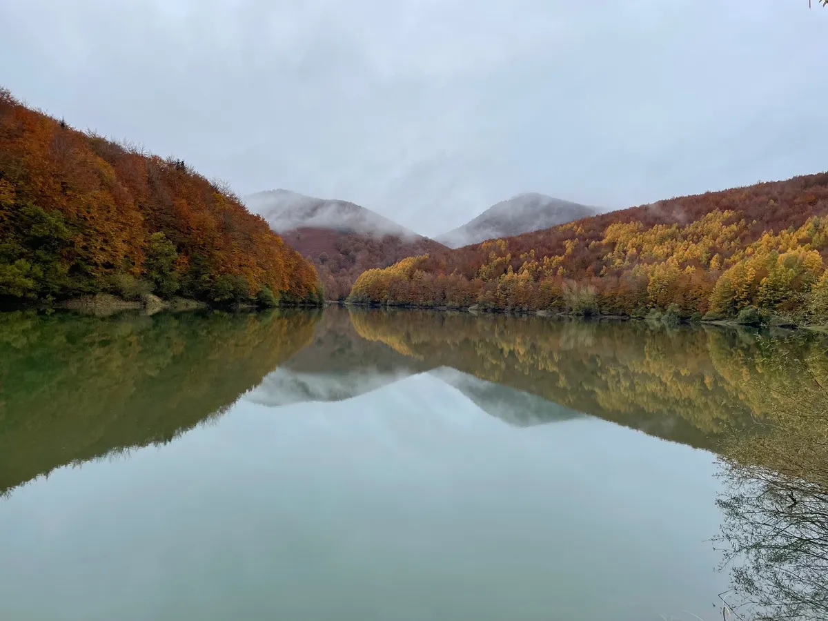 Bosque reflejado en el agua del embalse de Irabia