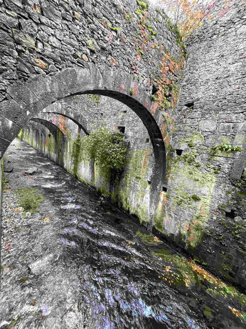 Arcos de piedra y vegetación entre los muros de la fábrica de Orbaizeta