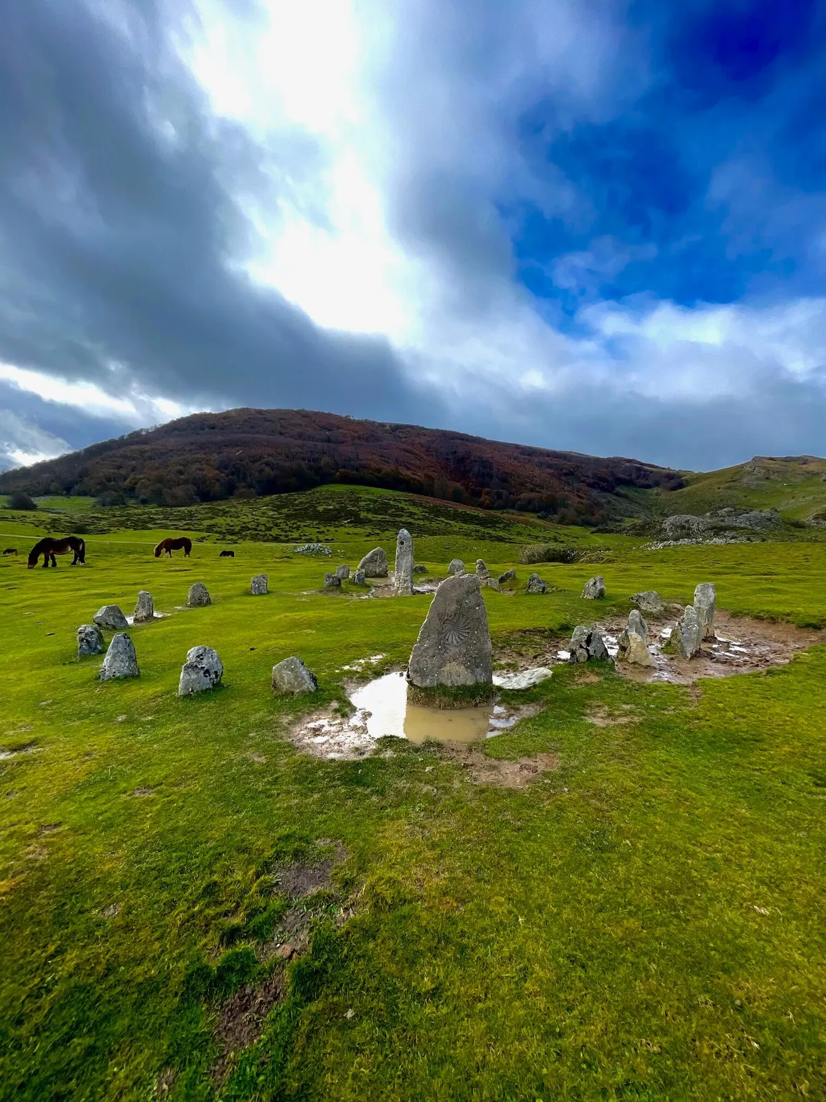 Círculo de piedras de Orgambide en una pradera, con charcos, caballos y montañas al fondo
