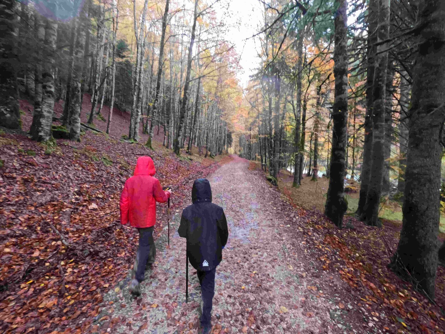 Dos miembros de una familia caminando por la Selva de Irati