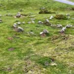 Cromlechs de Azpegui - FamiliaSenderista