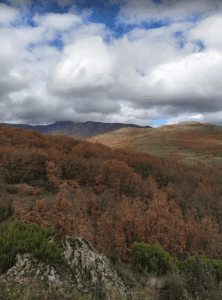 La Hiruela-FamiliaSenderista2