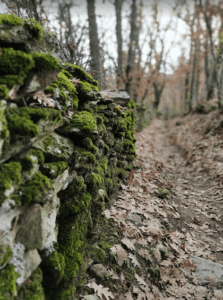 La Hiruela-FamiliaSenderista3