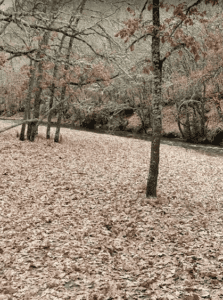 La Hiruela-FamiliaSenderista5