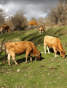 La Hiruela-FamiliaSenderista7